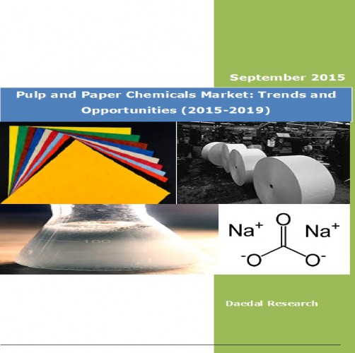 Global Pulp and Paper Chemicals Market Trends and Opportunities
