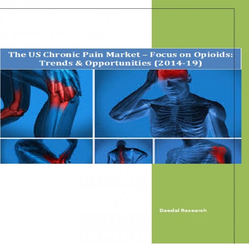 The US Chronic Pain Market (2014-2019) - Business Research Companies