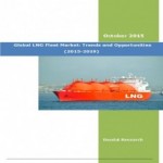 Global LNG Fleet Market (2015-2019) - Business Research Companies